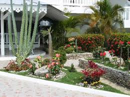 small garden pictures