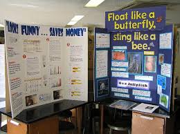 science fair project