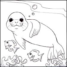 national geographic coloring sheets