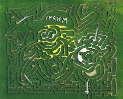 2007 Corn Maze