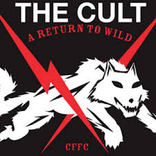 the cult