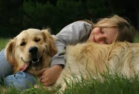 How to Cure Dog Skin Problems