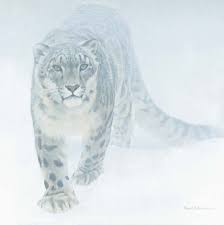 snow leopard