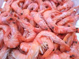 CREVETTES ROSES dans DIETETIQUE cuisine:crevetterose