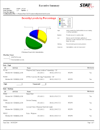 executive summary example