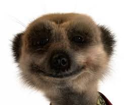 Simples.jpg