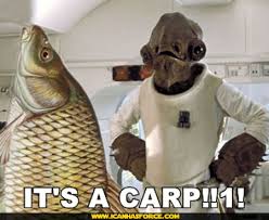 http://t3.gstatic.com/images?q=tbn:6aonjZUm71K1UM:http://www.icanhasforce.com/wp-content/uploads/2008/07/star-wars-its-a-carp.jpg&amp;t=1
