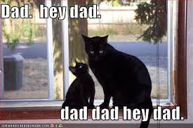 funny dad