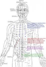 See full size image