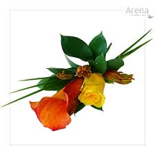 orange yellow rose