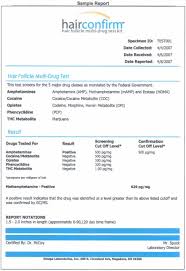 report sample