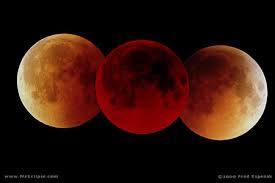 Lunar Eclipse December 2010