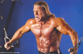 wwe superstar triple h