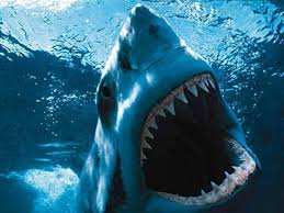 Film: Jaws