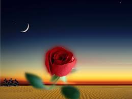 AYIN G�LE SERENADI ���R�