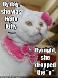 hello kitty cat
