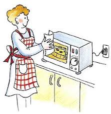 INCHIESTA SUL  FORNO A MICROONDE 