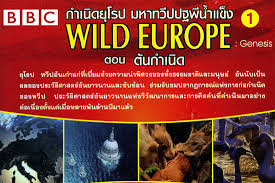 Wild europe: 4- A new millenium