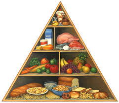Nutrition Pyramid