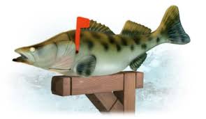 walleye fish pictures