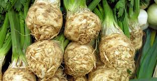 http://t3.gstatic.com/images?q=tbn:8cPzn3q1U8wqJM:http://www.foody.pl/uimages/OGROD/Przewodnik/WARZYWA/Korzeniowe/seler.jpg