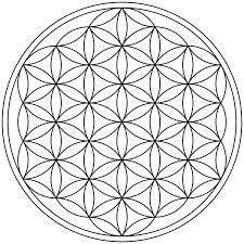 flower of life picture