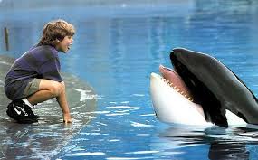 free willy