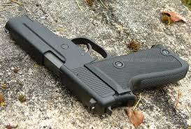 sig p220