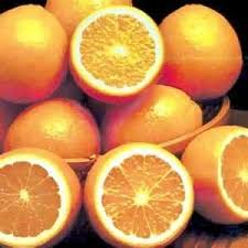 تخيلي رجيم الزبيب والبرتقال ينقص 2 كيلو بيومين 268950_1221304702