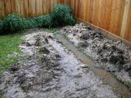 french drain