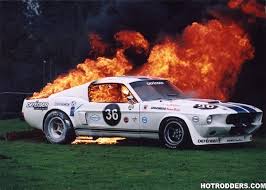 mustang