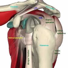 Rotator Cuff Syndrome