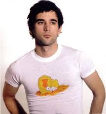 sufjan stevens