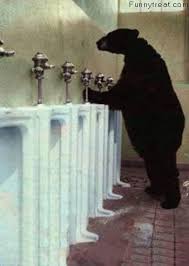 funny animals