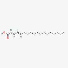 what is conjugated linoleic