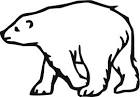 Polar Bear coloring page