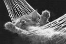 Best Sleeping Positions Weirdomatic