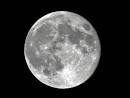 http://www.floridasportsman.com/files/2011/09/full-moon.jpg