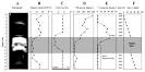 Revista chilena de historia natural - Cambios en las asociaciones ...
