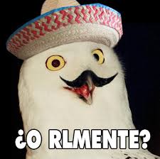 images?q=tbn:ANd9GcQ-skCkhHf_JlOYJu-ALQTjAcUAtjSolCfXE1FgKAOVnFUUOEDGLA