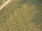 Crop markings - Hop Farm, Beltring. Taken from a balloon on a trip by my Mum - via Daymix