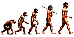 http://t3.gstatic.com/images?q=tbn:ANd9GcQ0ASuD9k0hmWA0IXbH4iXkKVpU7zv3zYdXaIDMyQedYNvES6DOVA