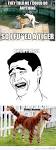 9GAG - And then a TIDOG was born
