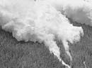 Avalanche velocities can reach