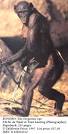 Bonobos by D'Lynn Waldron