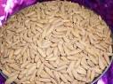 Chilgoza Pine Nuts,Chilgoza Nuts,Natural Chilgoza Nuts Exporters ...