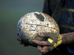 pelota