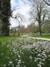 A swathe of this pretty wild - via Daymix