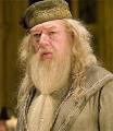 Professor Albus Dumbledore