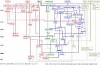 LyricsVault: History of music